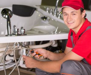 About Plumbers Pros Reliance, TN